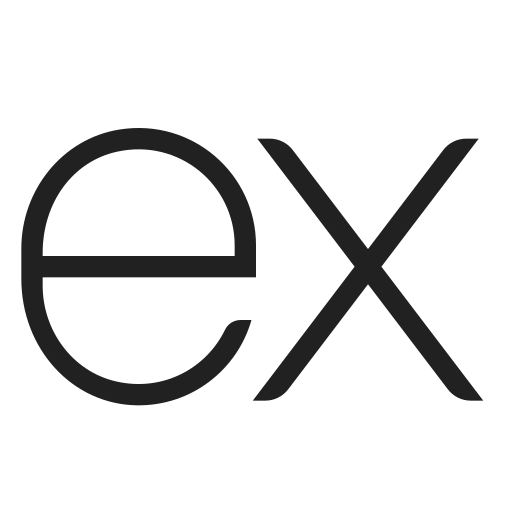 Express Js Programmer