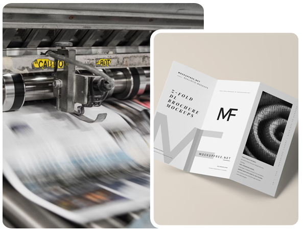 Graphic Designer Web Designer