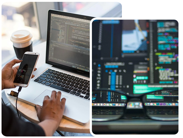 Website Development