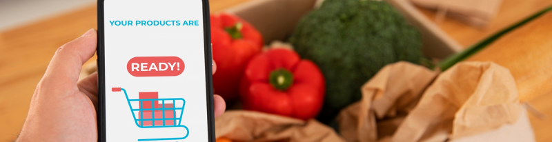 Mobile App and Website Development
